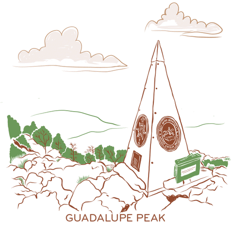 2026 Totally Texan Calendar REFILL