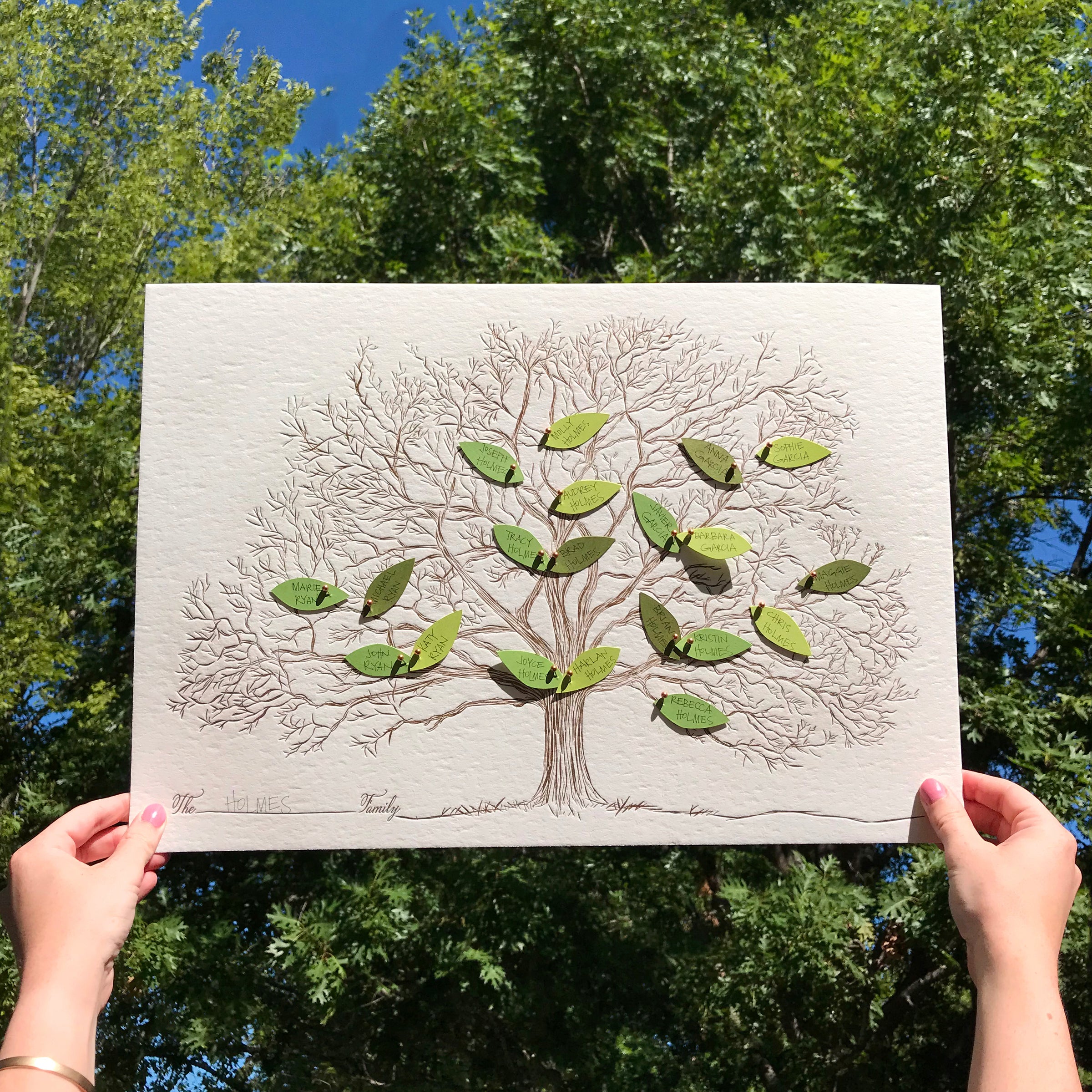 Family Tree Sketch With Color