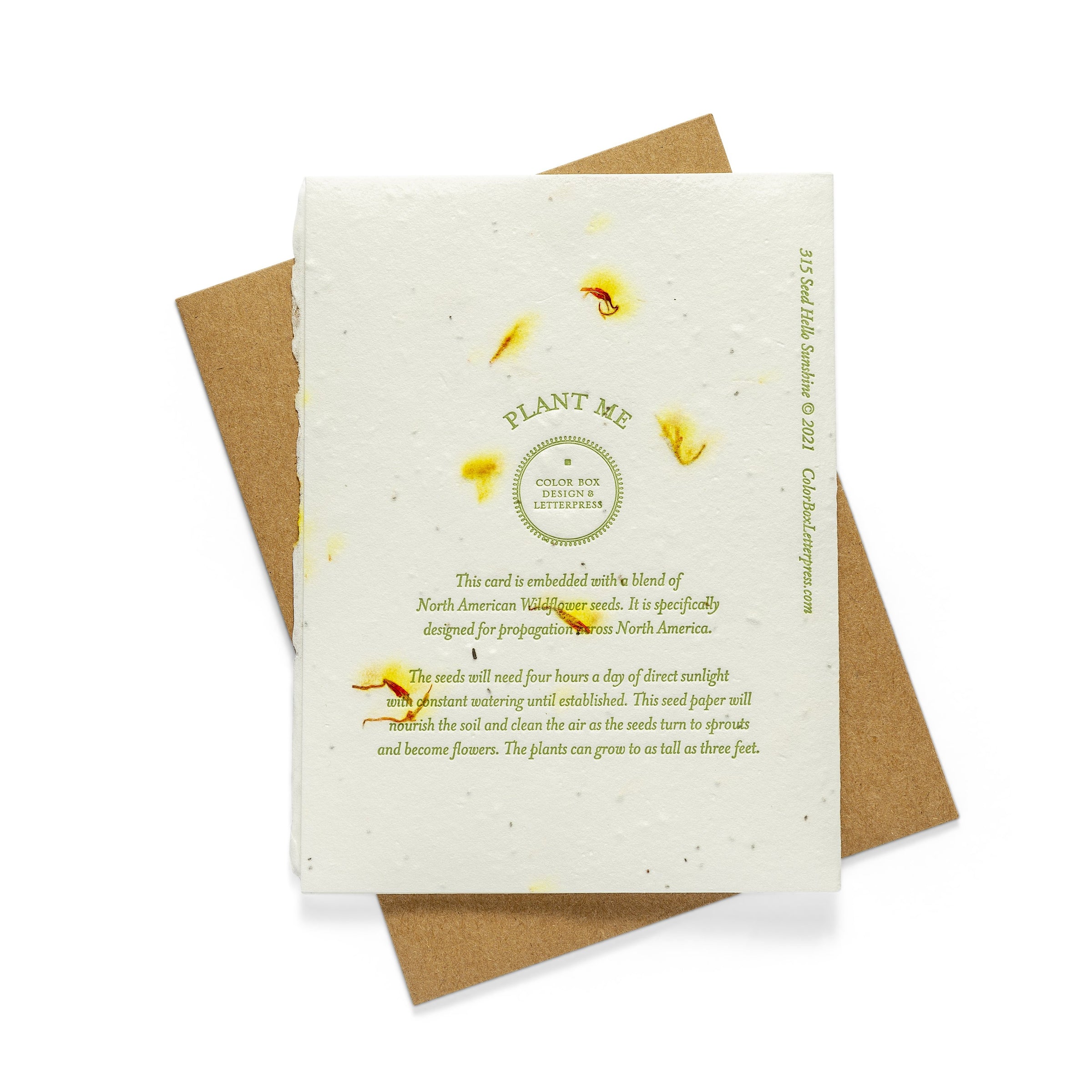 wildflower seed greeting cards Wild About You | Seed Card